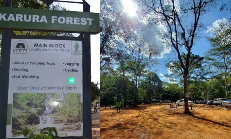 Cyclists exploring Karura Forest Nairobi