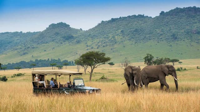 Nairobi National Park
