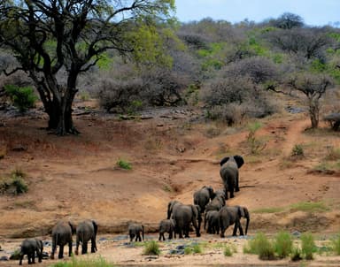 Maasai Mara National Reserve